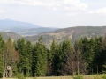 img029