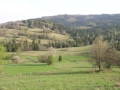 img031