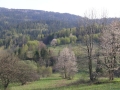 img032