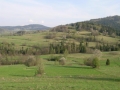 img033