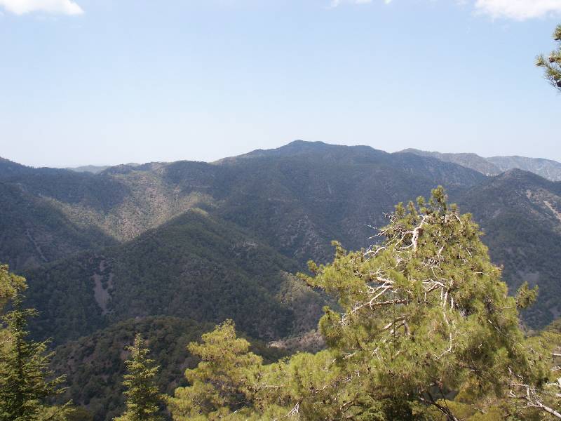 pict1008.jpg
