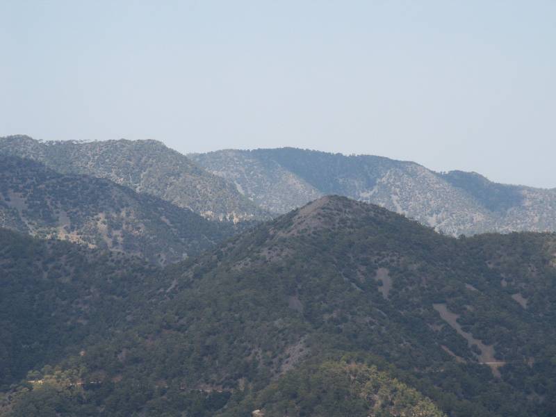 pict1014.jpg