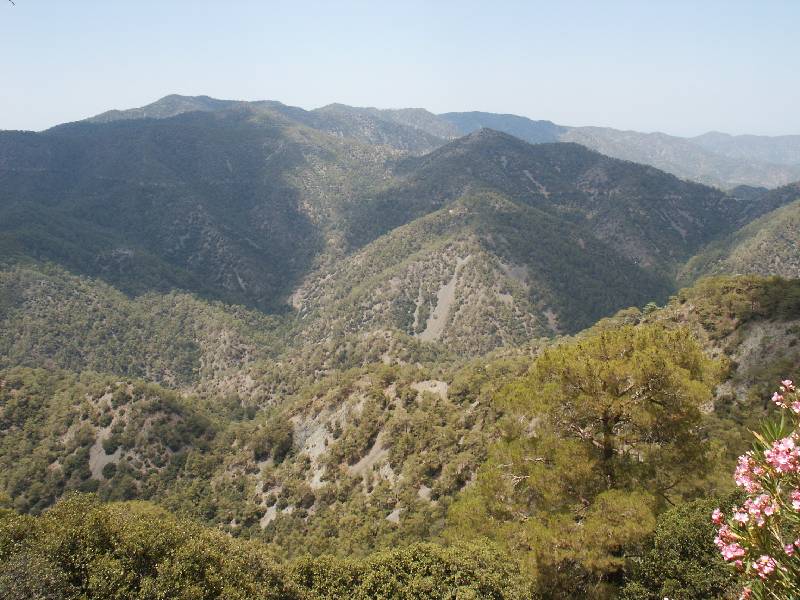 pict1055.jpg