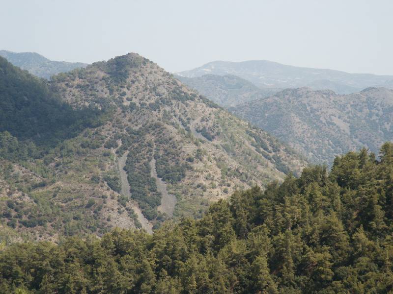 pict1091.jpg