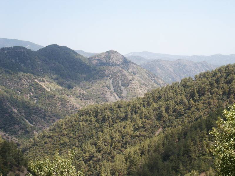 pict1097.jpg