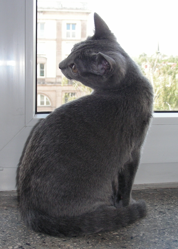 DSCN7921Frida.JPG