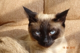 DSC00077g