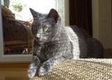 DSC00083g