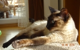 DSC00114g