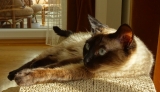 DSC00119g