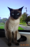 DSC00125g