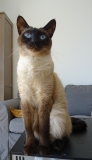 DSC00260g