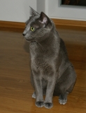 DSC02687Frida