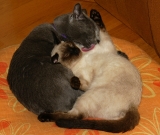 DSC04905FS