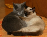 DSC04910FS