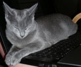 DSCN8295g800