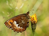 dsc04314m800
