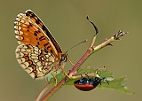dsc04674m800