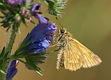 dsc04816m800