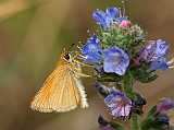 dsc05196m800
