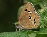 dsc05209m800