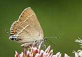 dsc05310m800