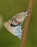 dsc06506m800