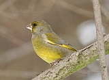 dsc01416dz800