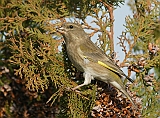 dsc08956dzw800