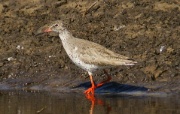 DSC04668krw