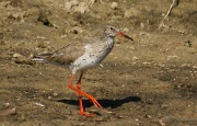 DSC04683krw