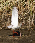 DSC04863krw