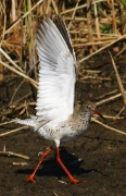 DSC04876krw