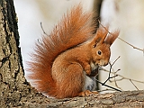 DSC09873w800
