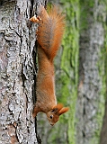 dsc08702w800